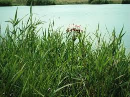 Lacul Agigea