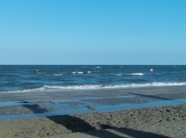 Loft Mamaia